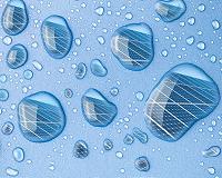 Water helps assembly of biofibers that could capture sunlight