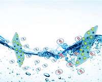 New catalyst produces cheap hydrogen