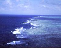 Great Barrier Reef corals can survive global warming for another century