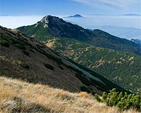 Acid Soils In Slovakia Tell Somber Tale