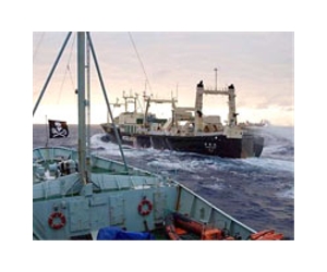 Activists board Japanese whaling ship