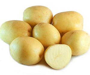 EU court annuls Commission approval of BASF's GM potato