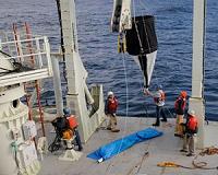 How Do Phytoplankton Survive a Scarcity of a Critical Nutrient?
