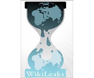 China urges US action over WikiLeaks revelations