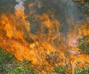Study shows wildfires' positive and negative economic impacts