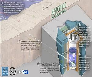 New Data From XENON100 Narrows The Possible Range For Dark Matter