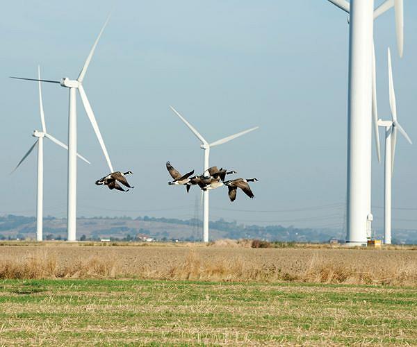In Texas, a rancher swaps his oil pumps for wind turbines