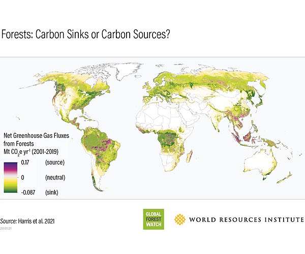 NASA satellites help quantify forests' impacts on global carbon budget