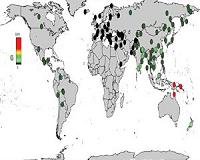 Multiple Denisovan-related ancestries in Papuans