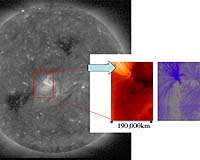 The Source Of The Solar Wind
