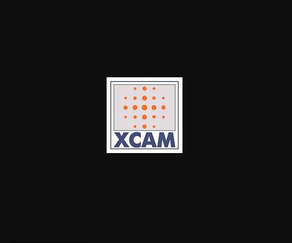 Advanced XCAM X-ray camera system ready for sub-orbital space launch