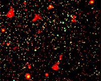 A new technique to gauge the distant Universe