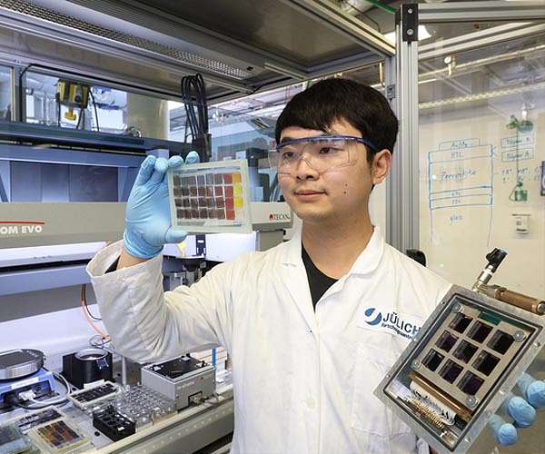 Perovskite solar cell with ultra-long stability