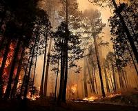 US park Yosemite partially closed as deadly fire rages