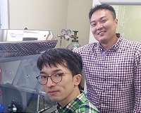 A novel layered superconductor based on tin and arsenic