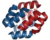 Man-Made Proteins Could Be More Useful Than Real Ones